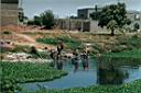 Les femmes lavent le linge dans le Niger